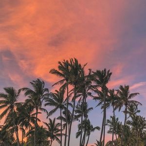 Meet your Posher, Weiwei